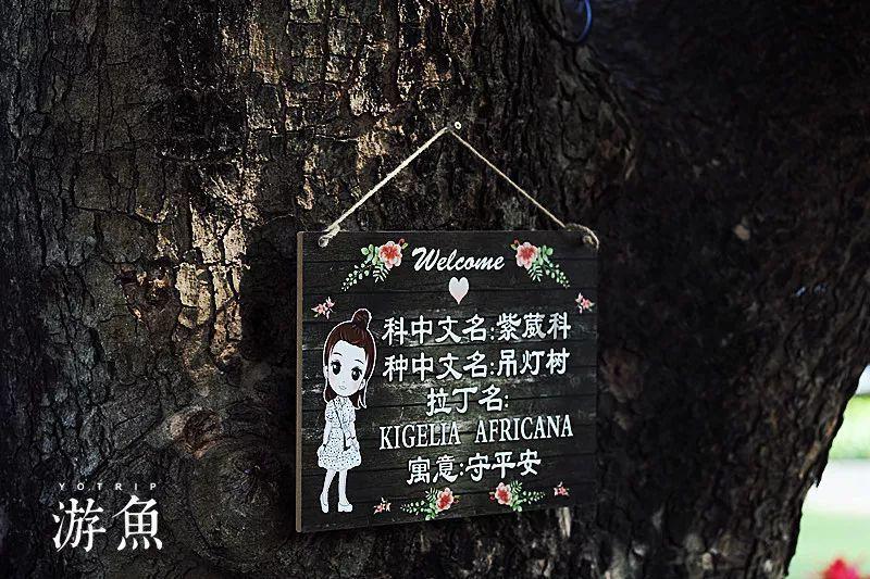 萌兔兔闯关